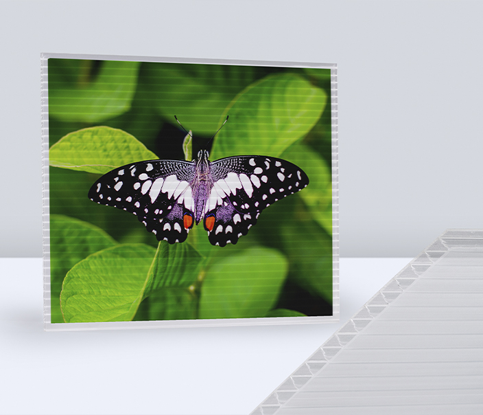 Corrugated Boards Graphic Arts Superclear