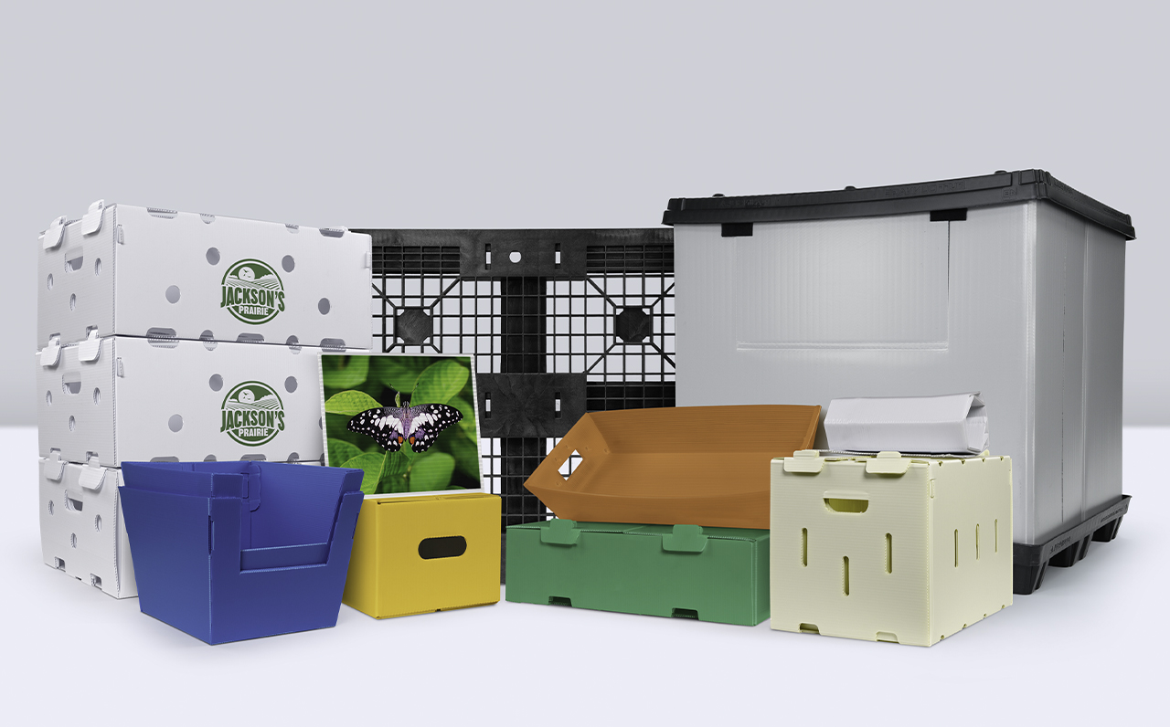 Sustainable Packaging & Printing Solutions