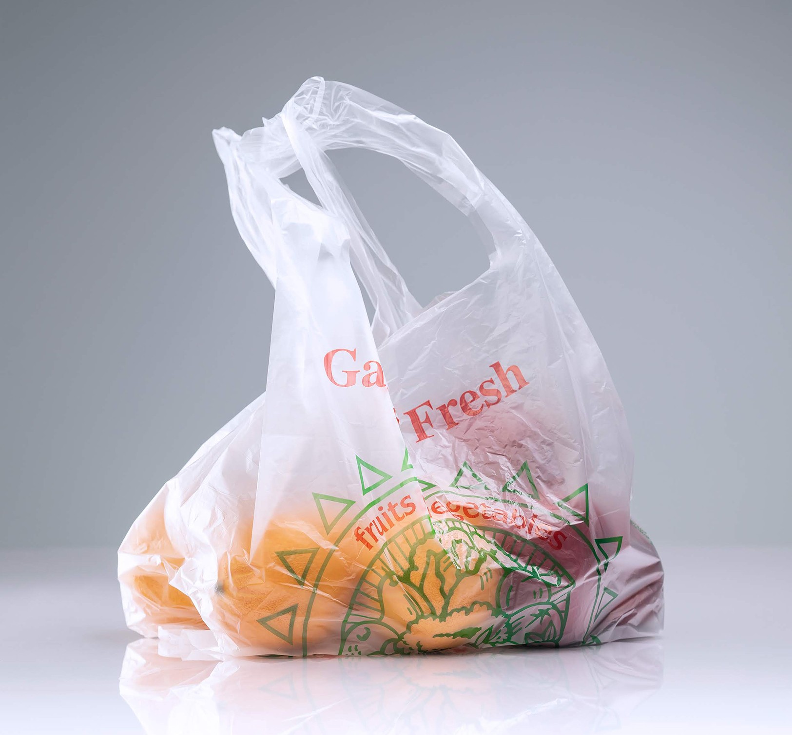 Grocery Produce Fresh Sac Bags