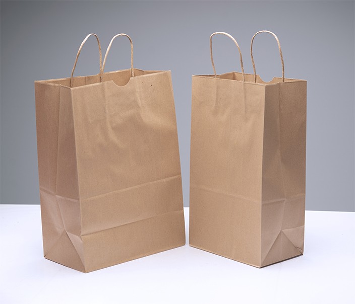 Paper Bags Twisted Paper Handle Bags